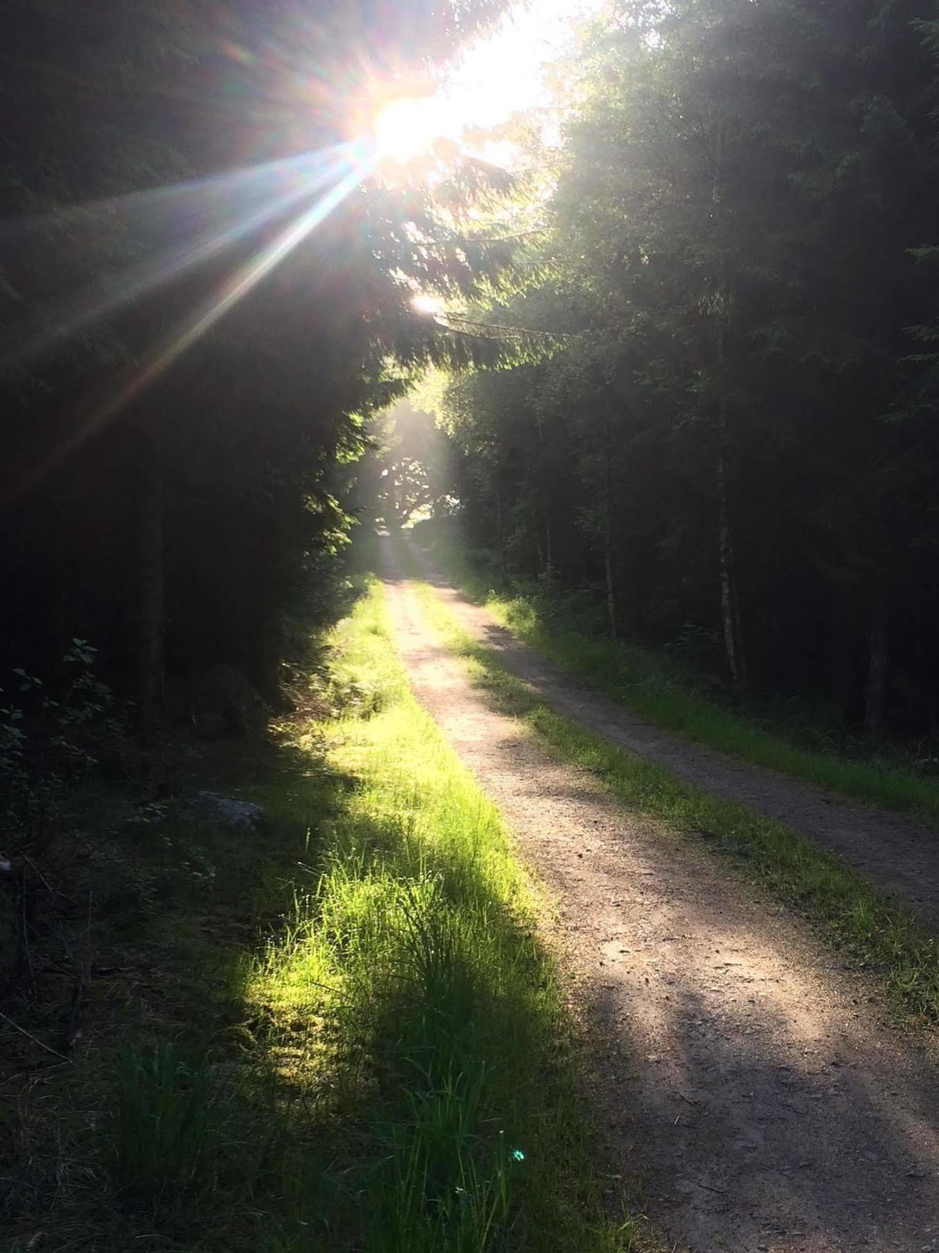 Отель Swedish Idyll Arstad Экстерьер фото